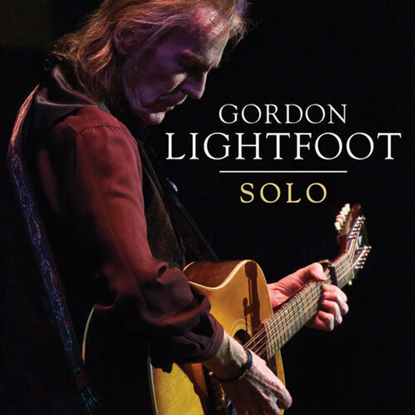 Gordon Lightfoot LP Vinyl - Solo