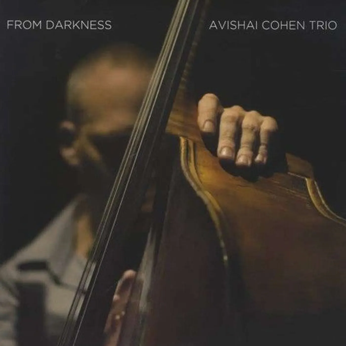 Avishai Cohen LP Vinyl - From Darkness