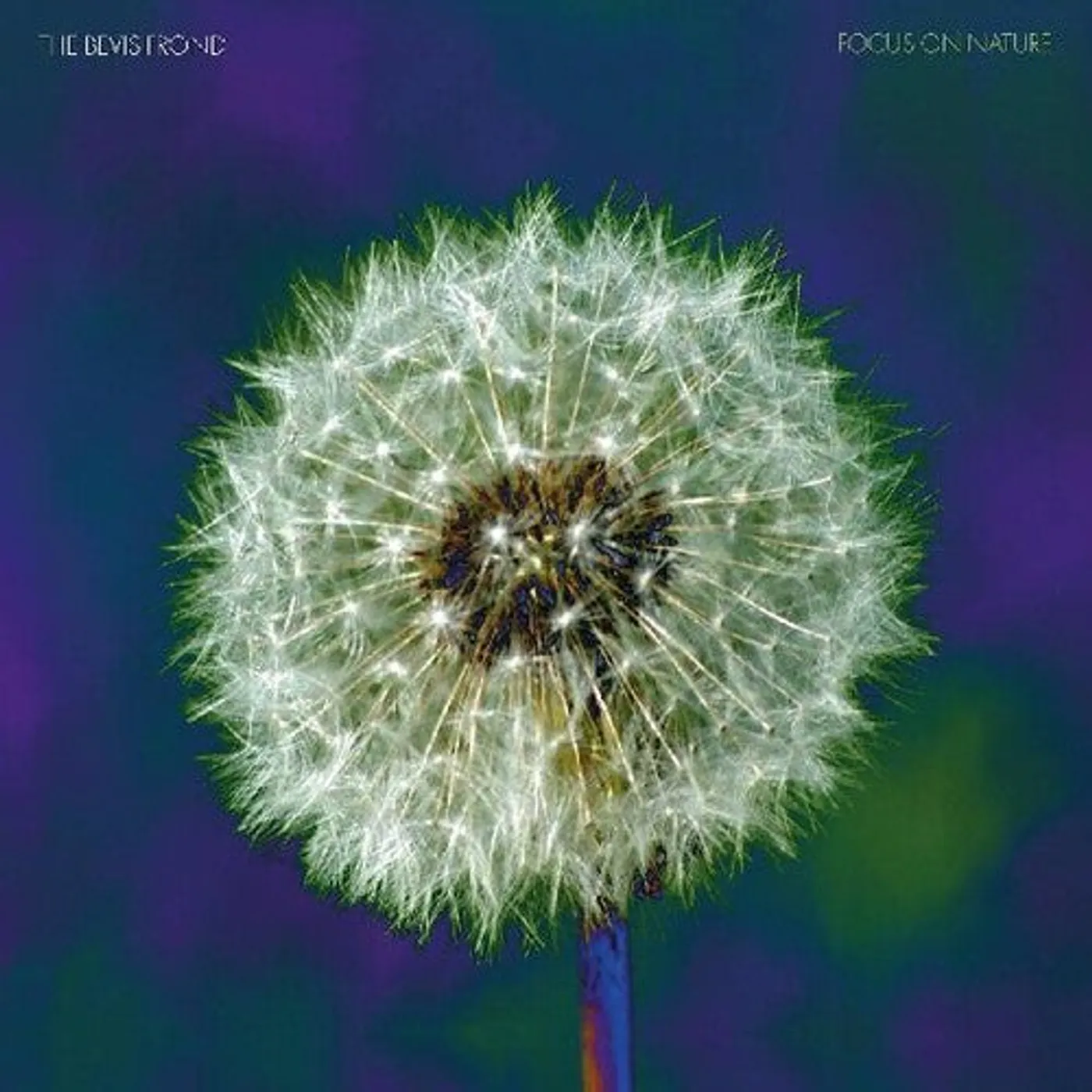 The Bevis Frond LP Vinyl - Focus On Nature (Coloured Vinyl) (Purp) (Dlcd)