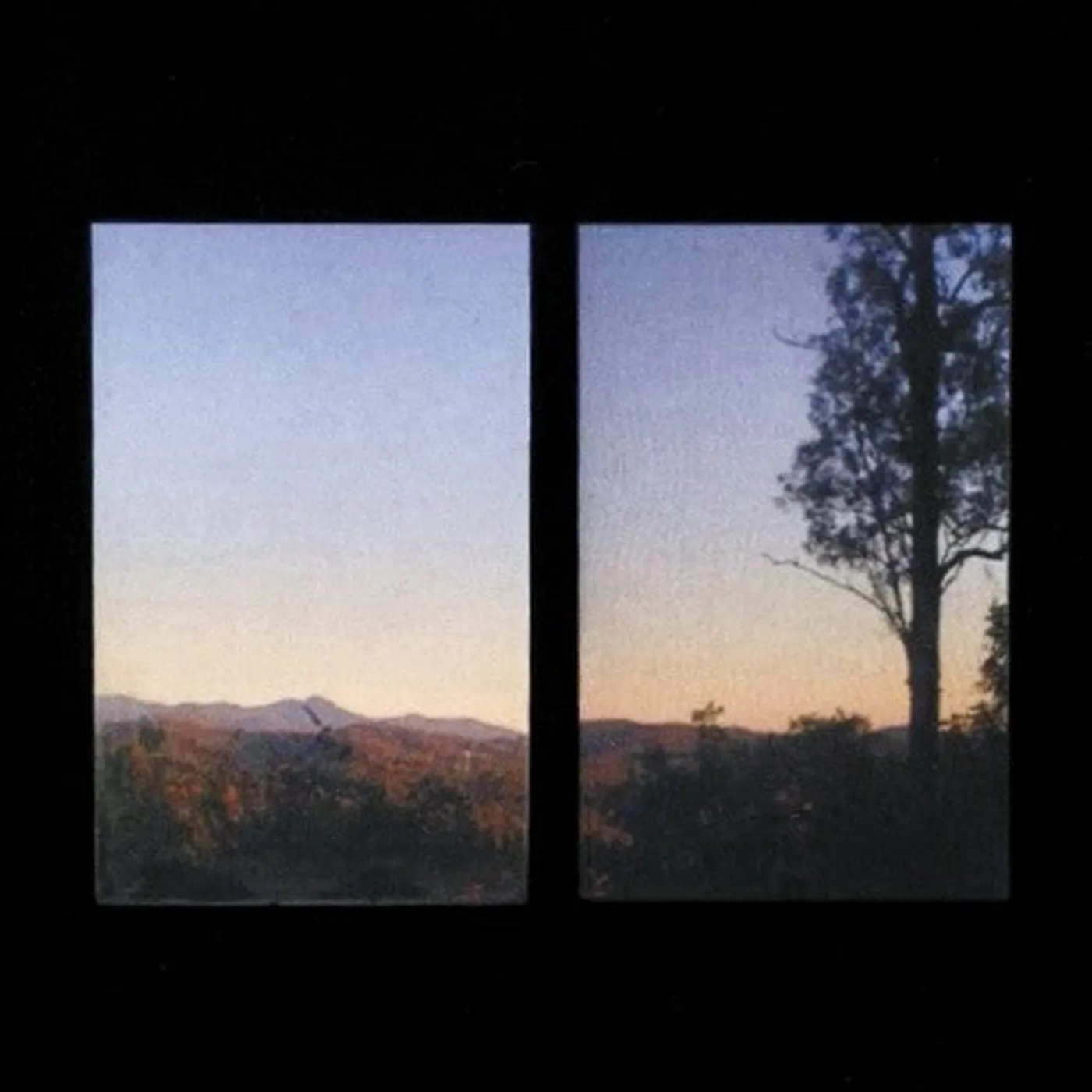 Bonny Doon LP Vinyl - Longwave