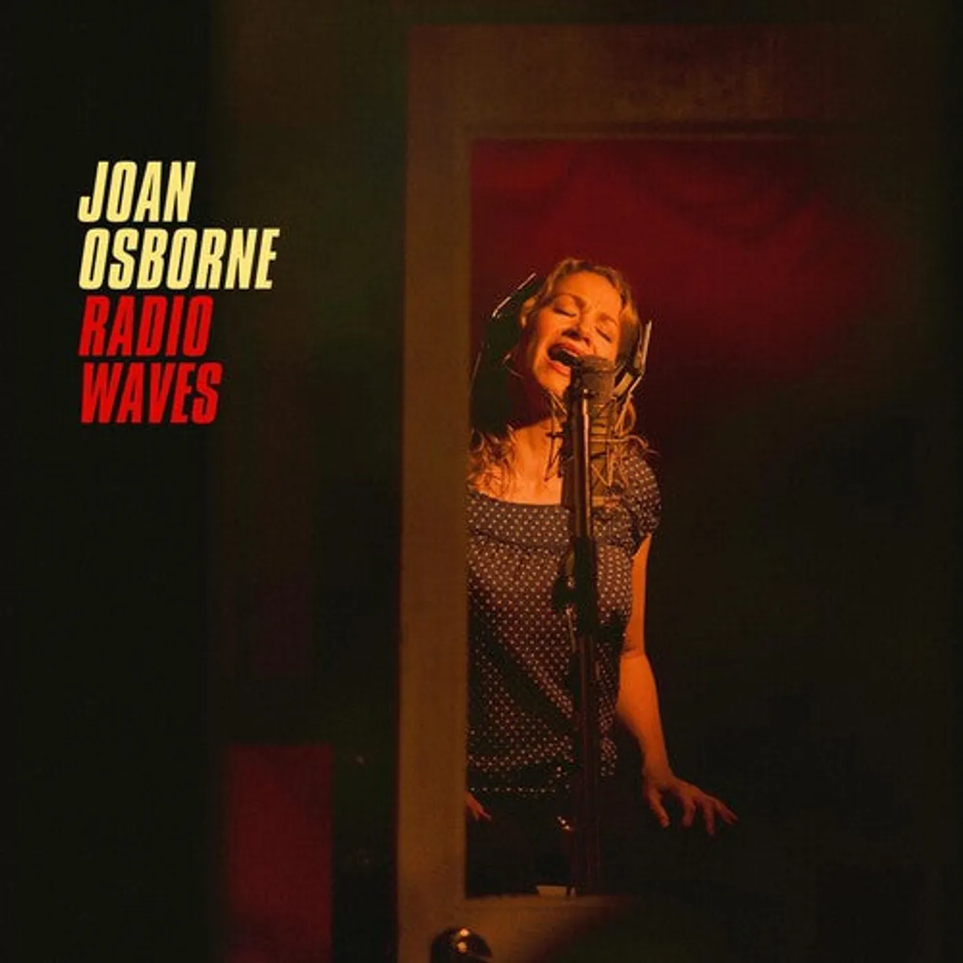 Joan Osborne LP Vinyl - Radio Waves