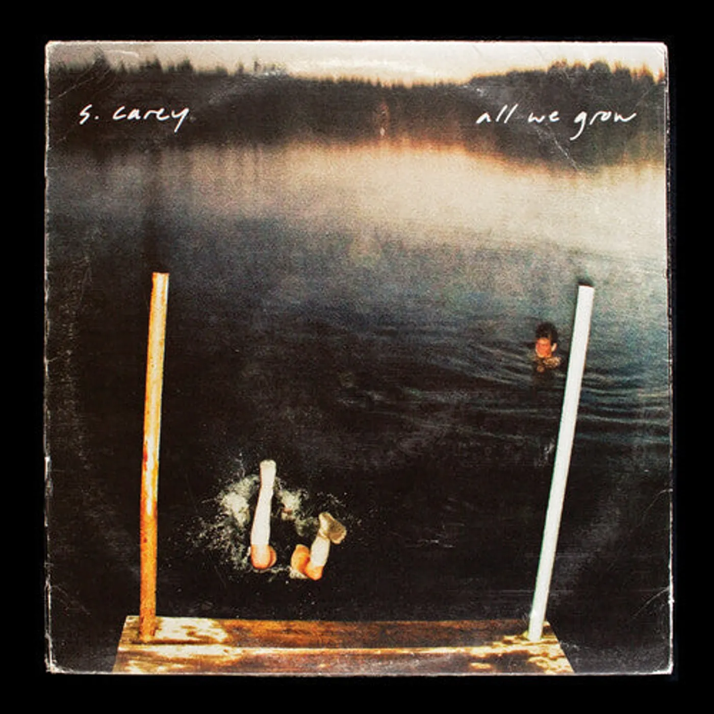 S. Carey LP Vinyl - S. Carey 'All We Grow (Ten Year Anniversary Ed.)