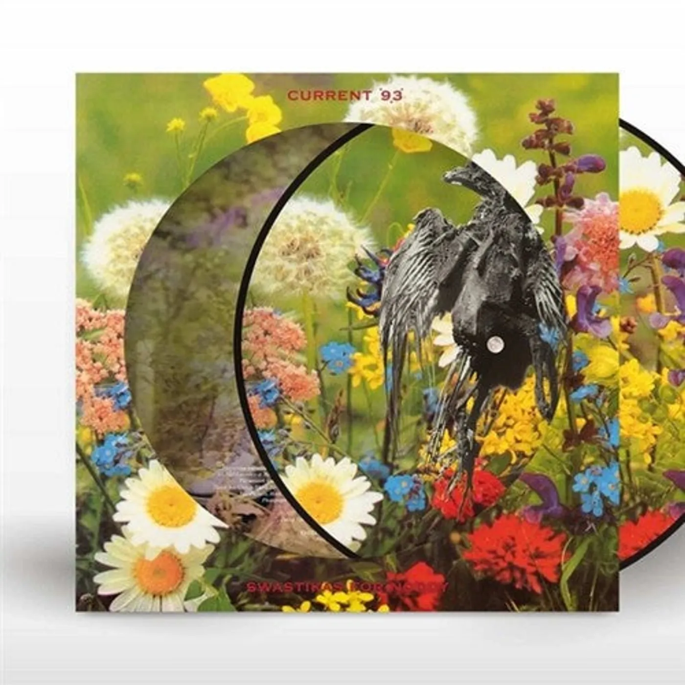 Current 93 LP Vinyl - Swastikas For Noddy (Pict)