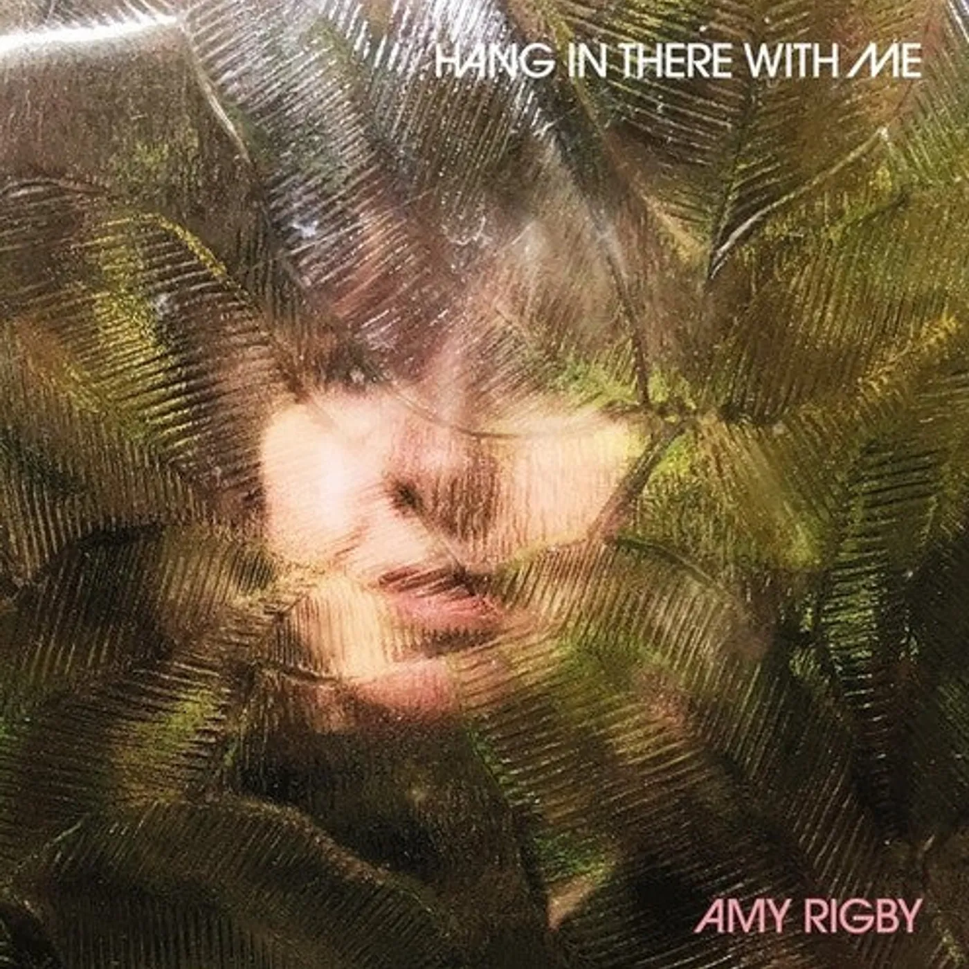 Amy Rigby LP Vinyl - Hang In There With Me