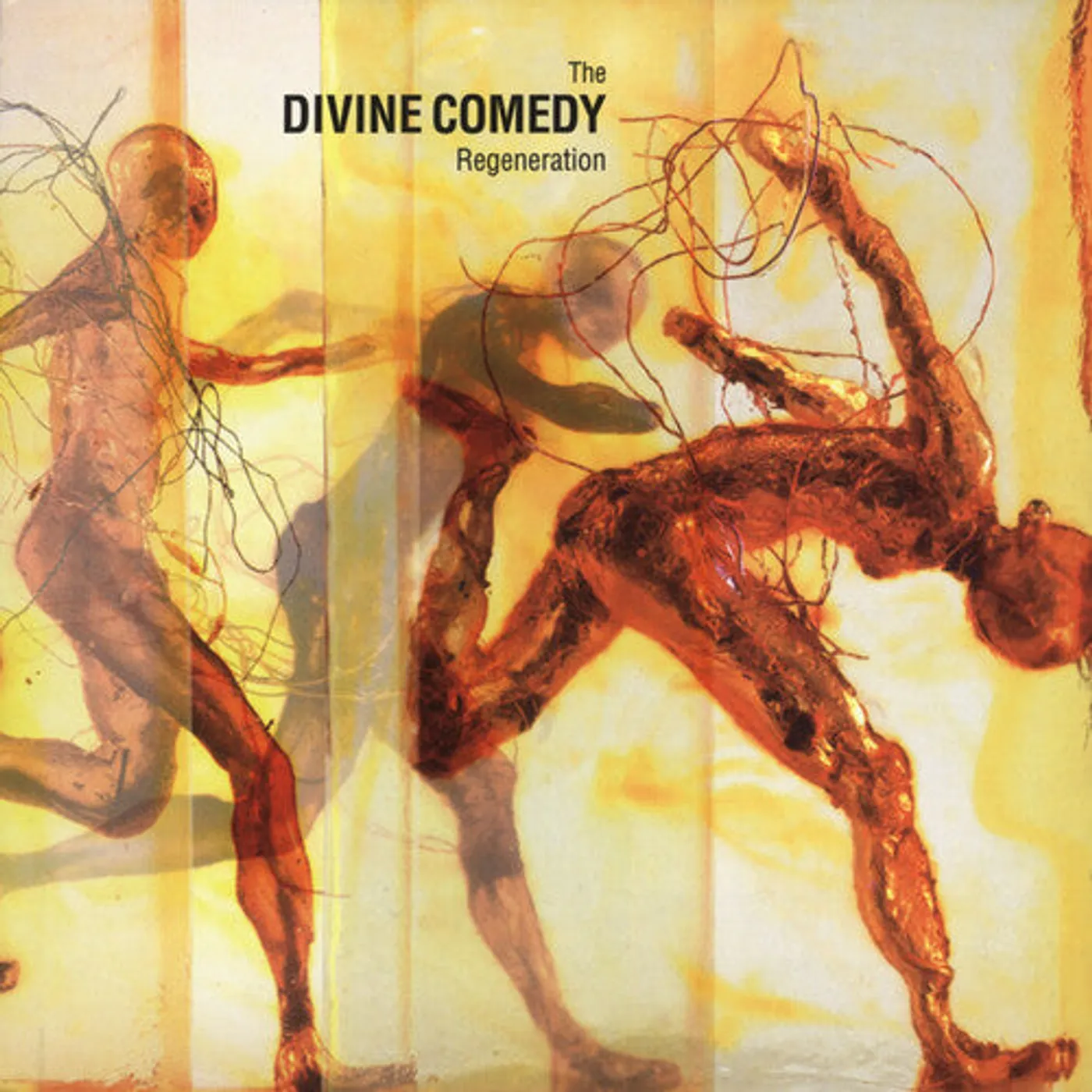 The Divine Comedy LP Vinyl - Regeneration (Reis)