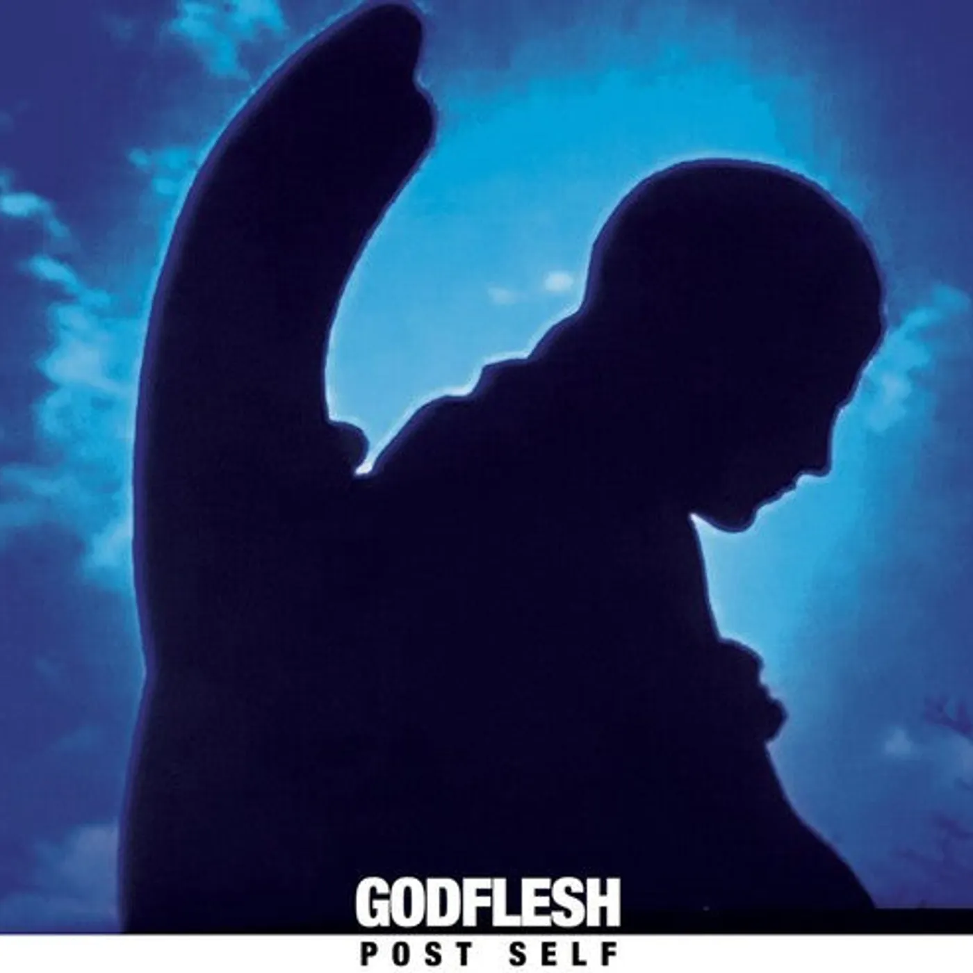 Godflesh LP Vinyl - Post Self (Blue) (Coloured Vinyl)