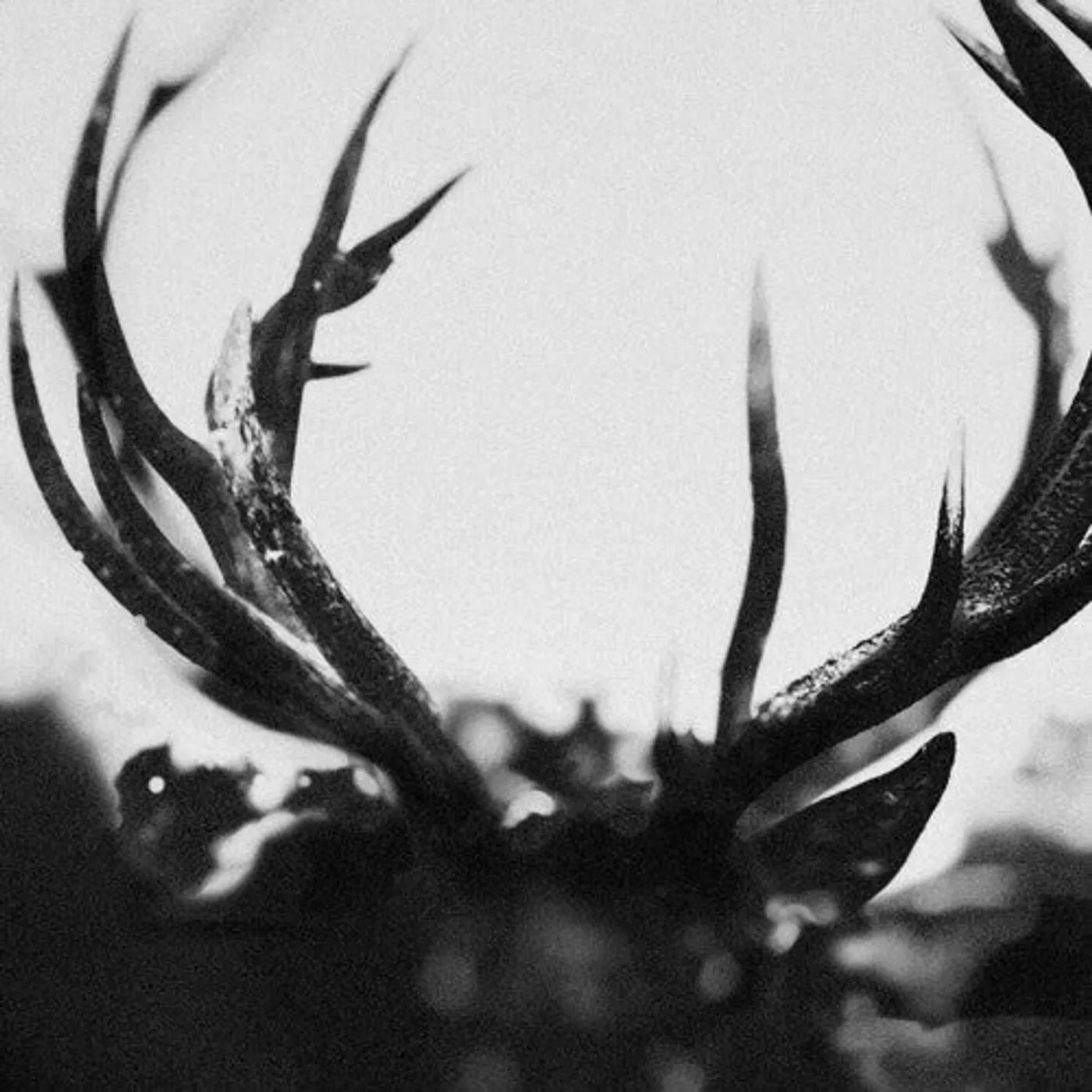 Ihsahn LP Vinyl - Ihsahn (Blk) (Coloured Vinyl) (Wht) (Spla)