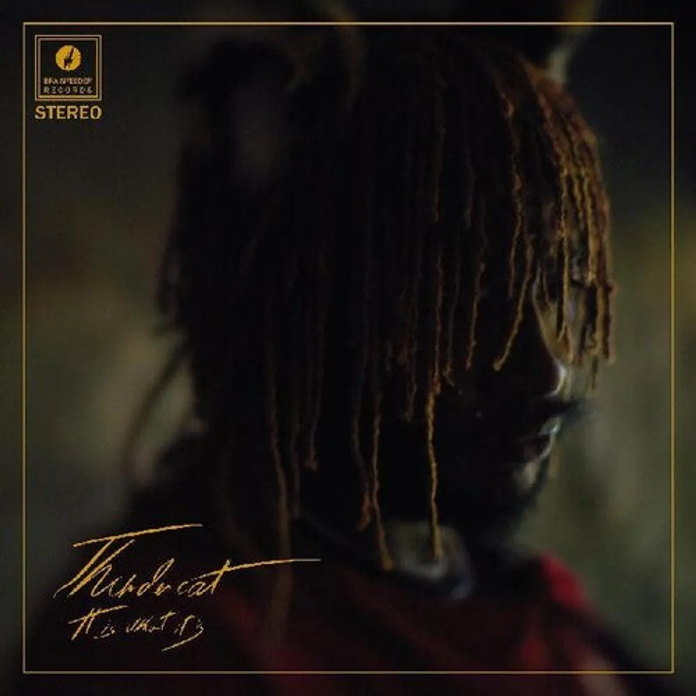 Thundercat LP Vinyl - It Is What It Is (Cvnl)