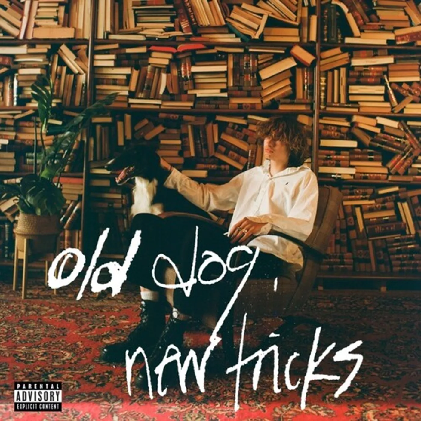 Glaive LP Vinyl - Old Dog New Tricks