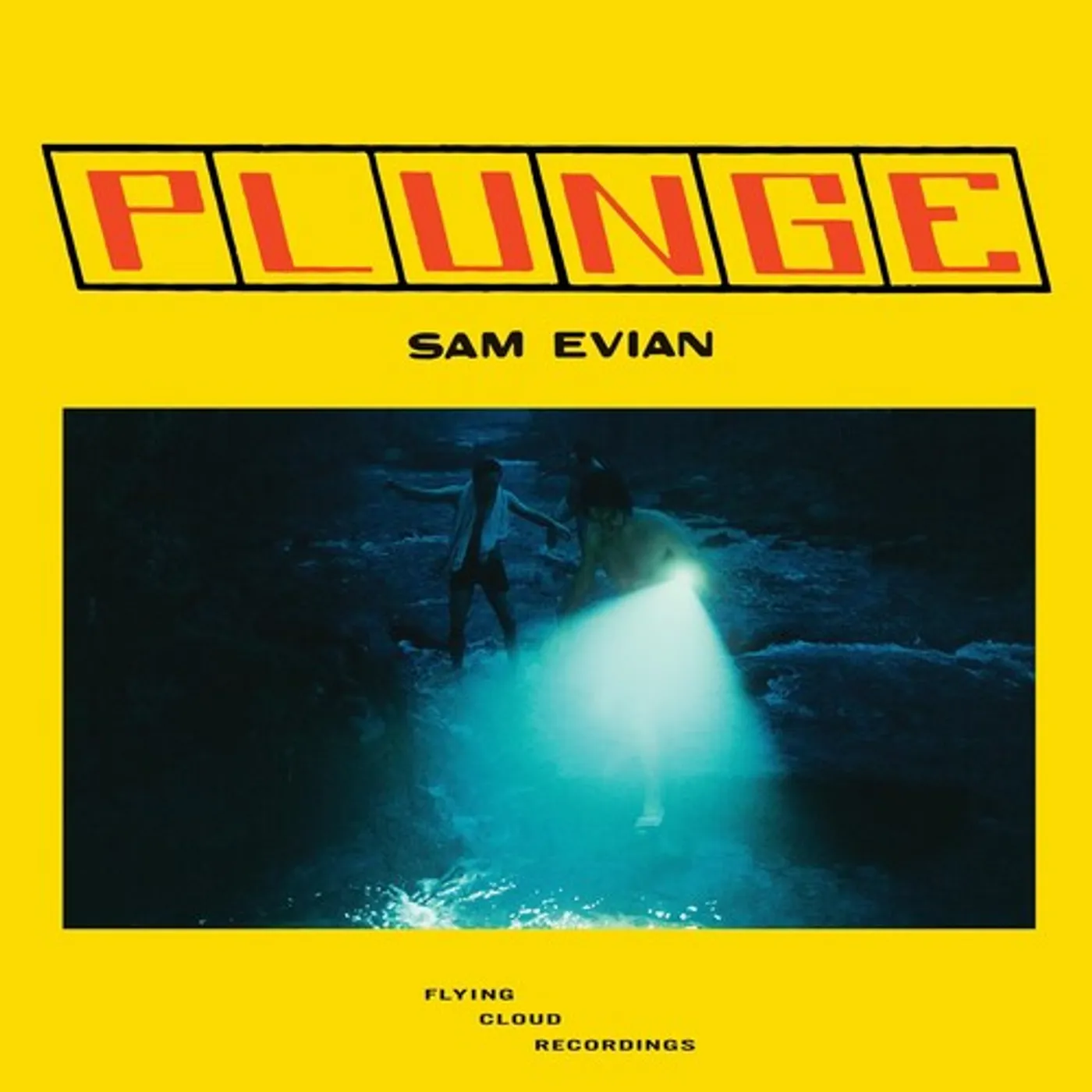 Sam Evian LP Vinyl - Plunge