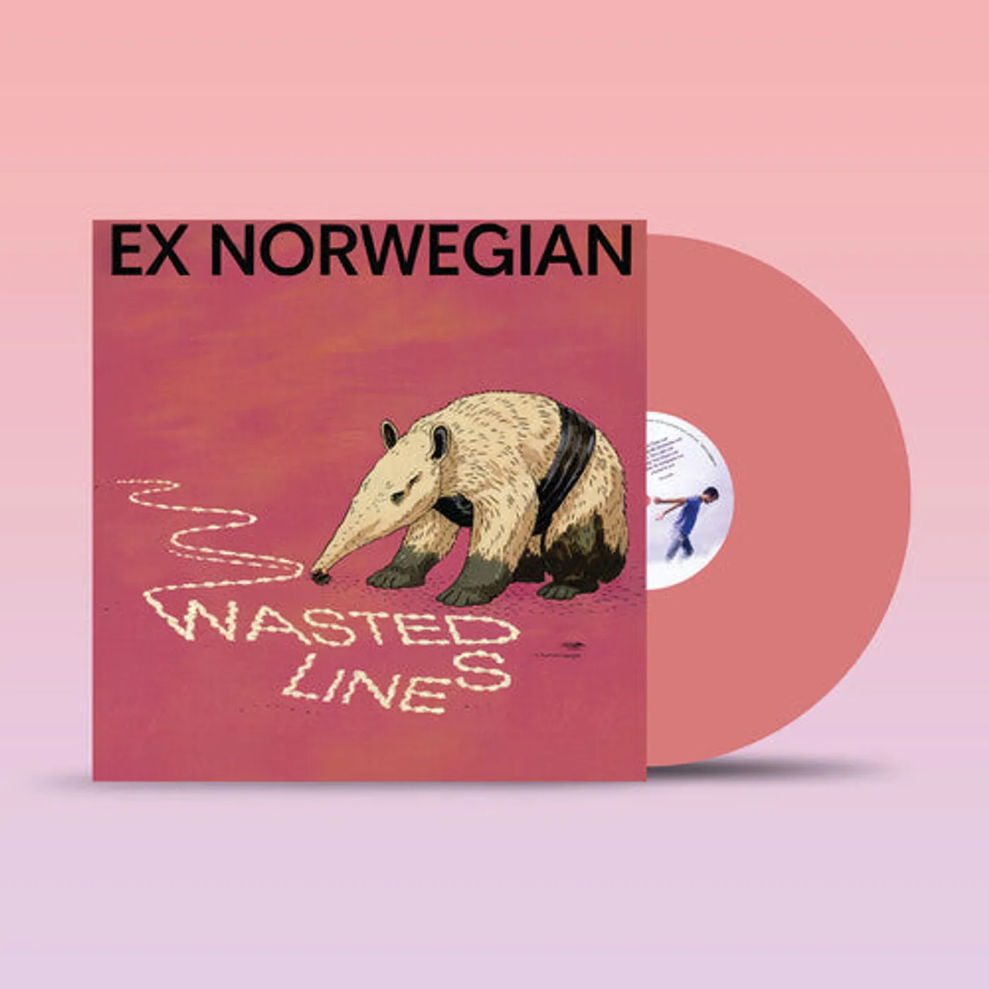 Ex Norwegian LP Vinyl - Wasted Lines - Pink (Coloured Vinyl) (Ltd) (Pnk)