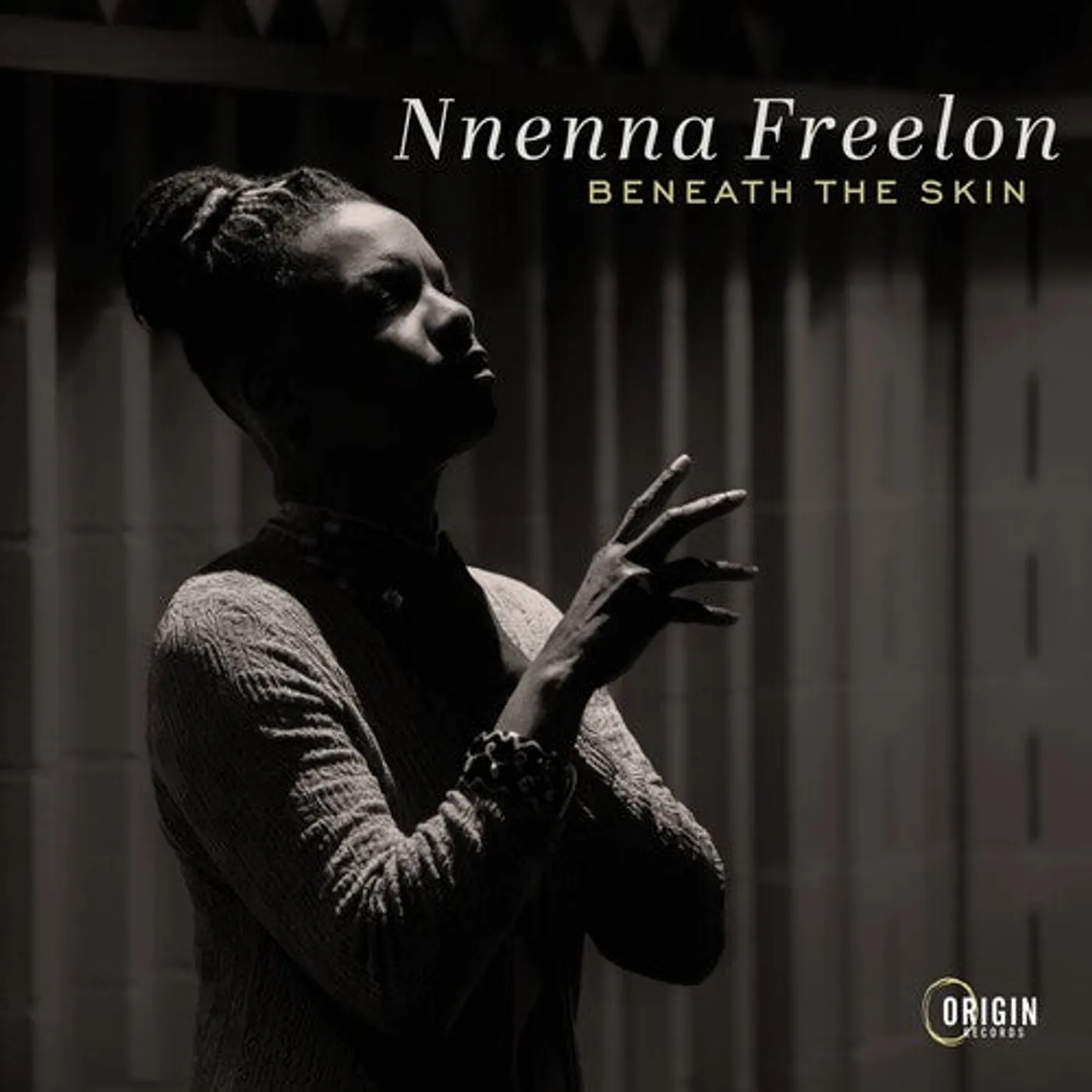 Nnenna Freelon LP Vinyl - Beneath The Skin