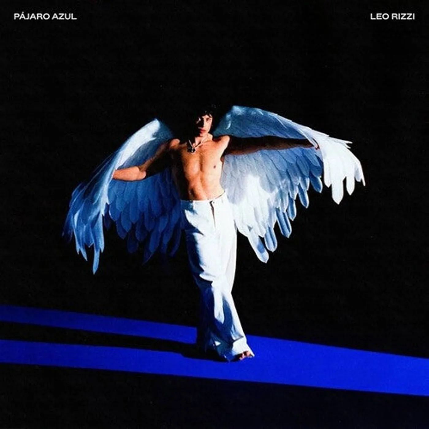 Leo Rizzi LP Vinyl - Pajaro Azul (Spa)