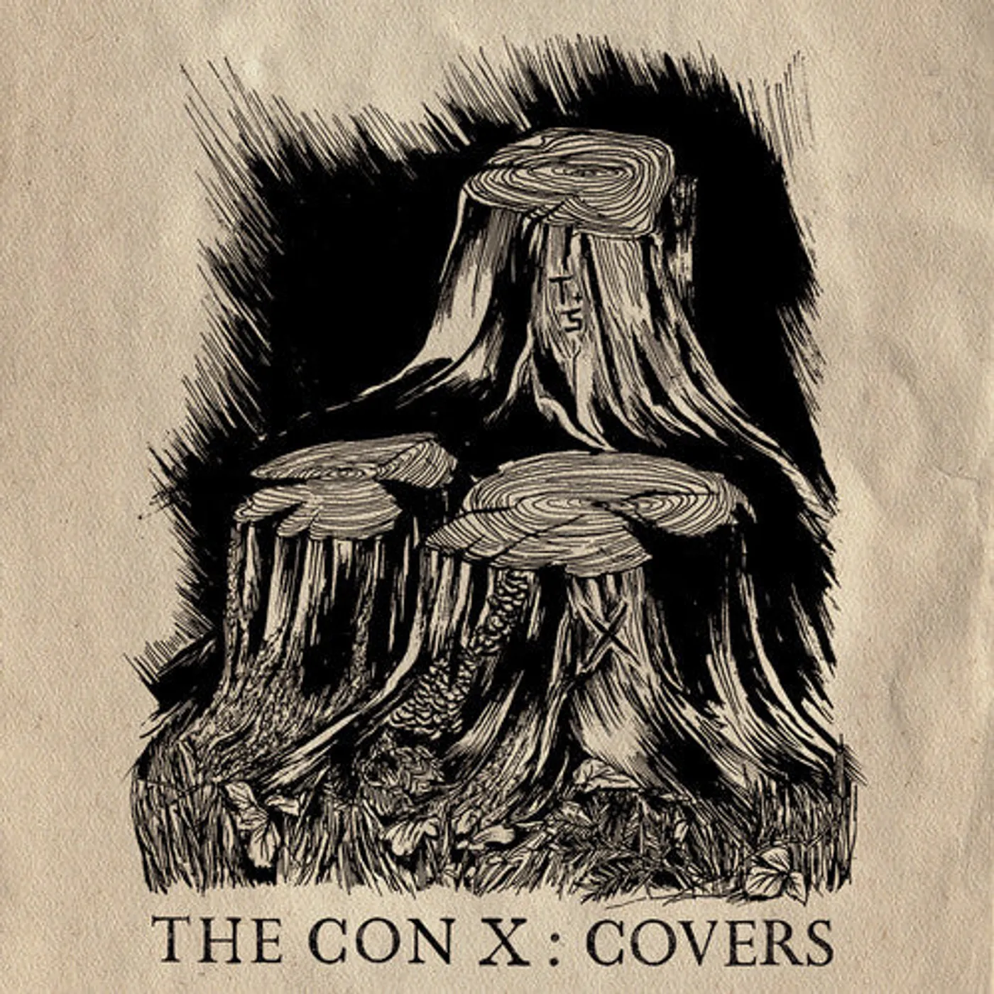 Tegan and Sara LP Vinyl - Con X: Covers