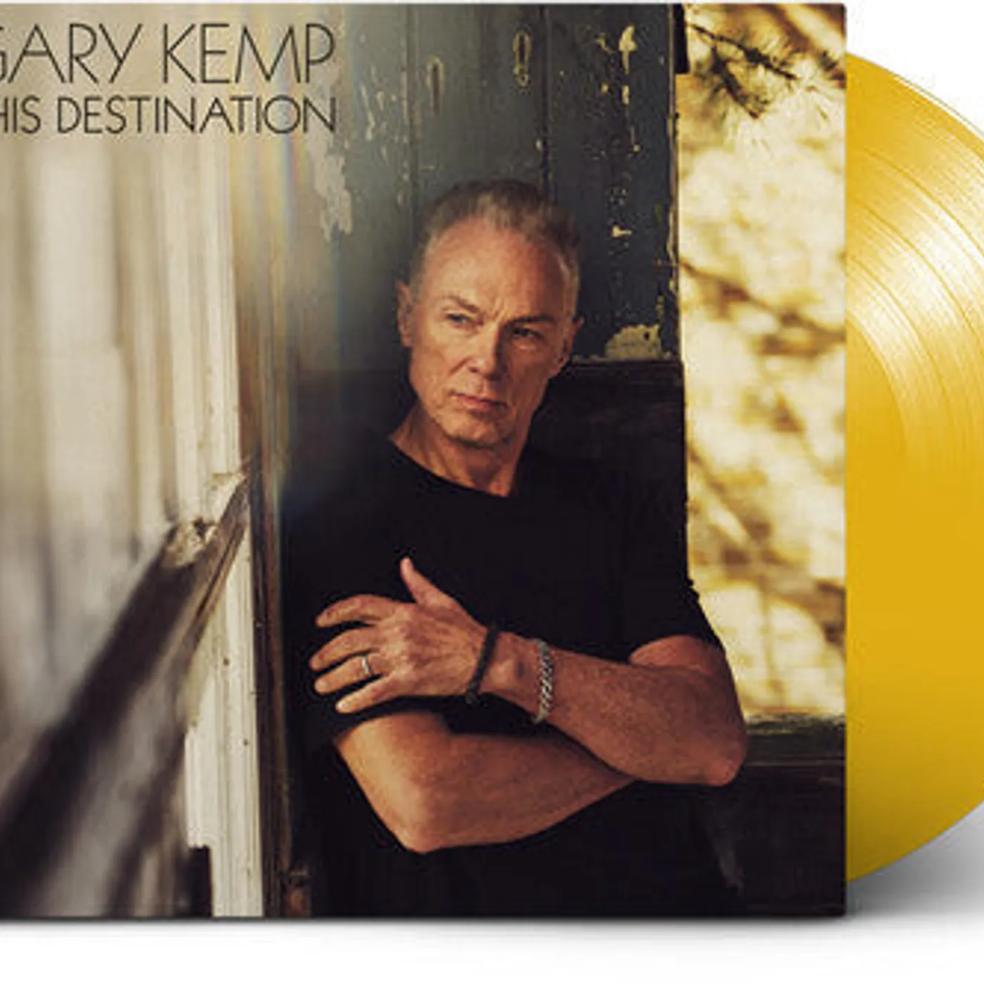 Gary Kemp LP Vinyl - This Destination