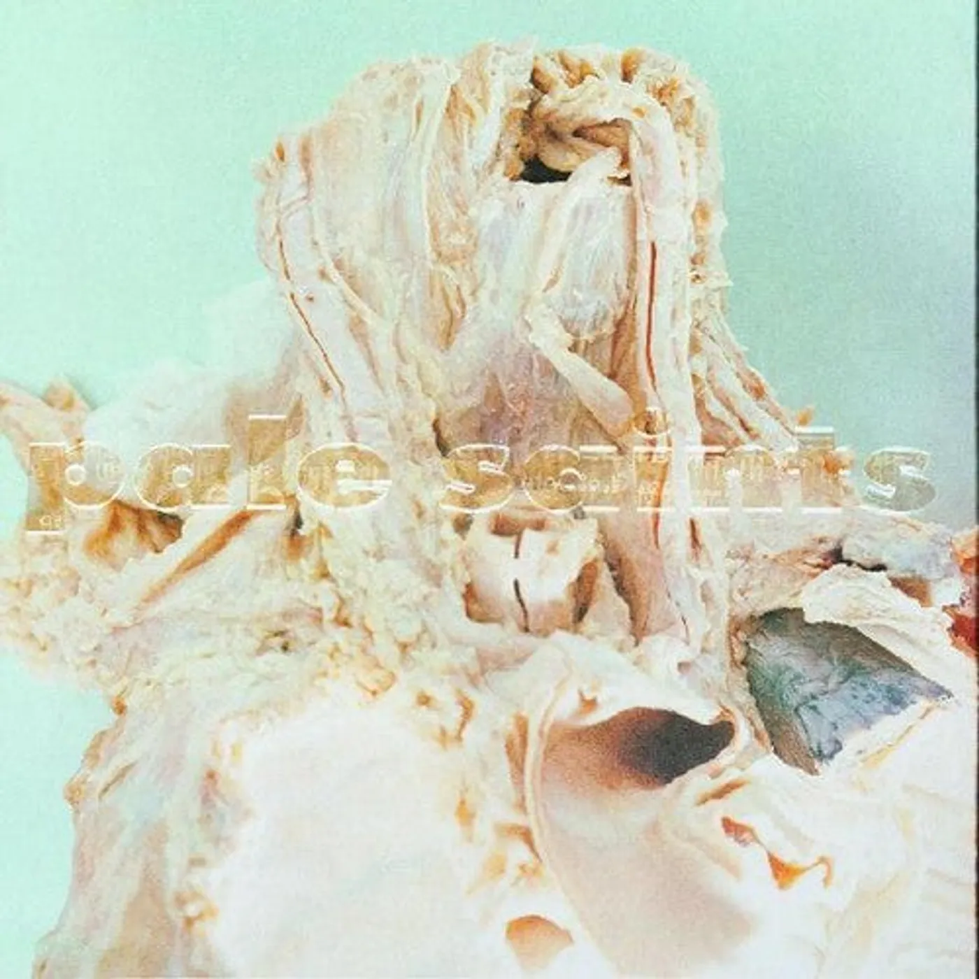 Pale Saints LP Vinyl - In Ribbons