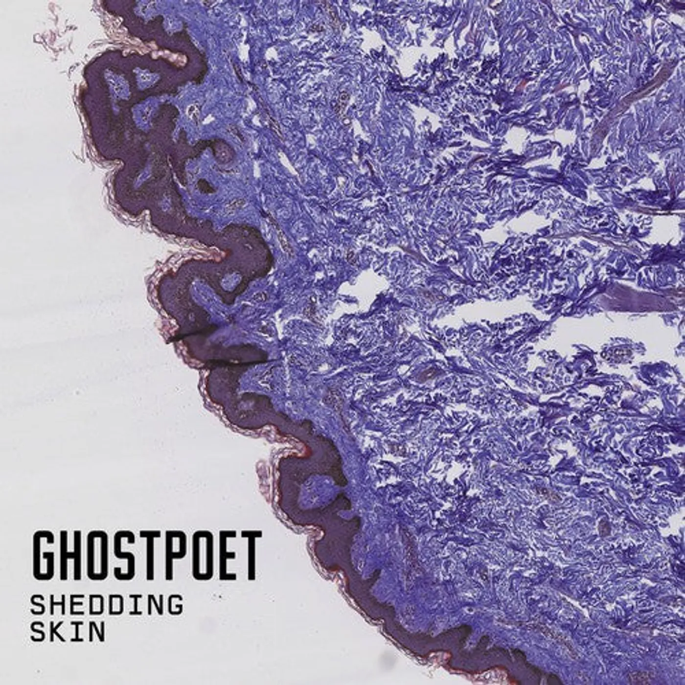 Ghostpoet LP Vinyl - Shedding Skin