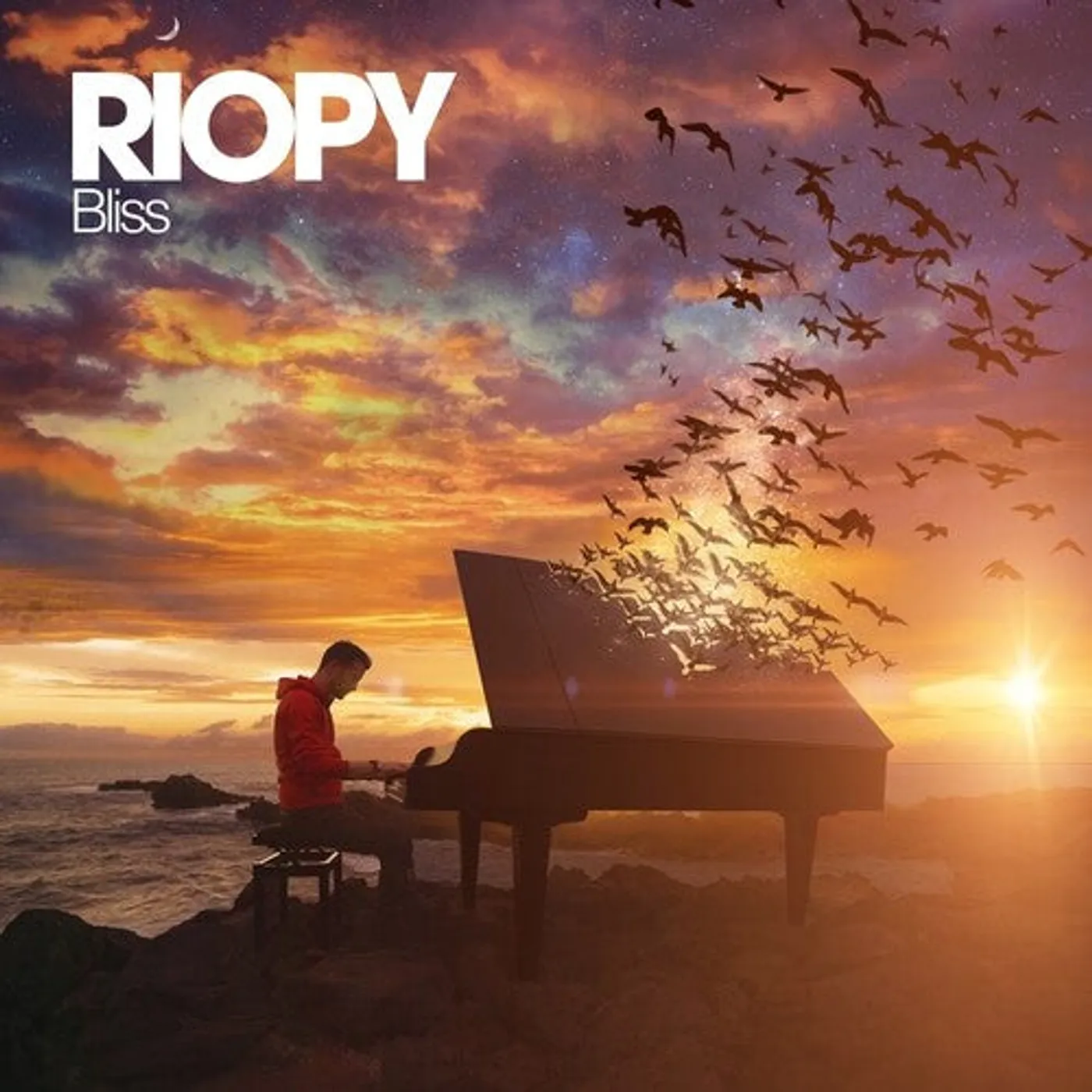 Riopy LP Vinyl - Bliss