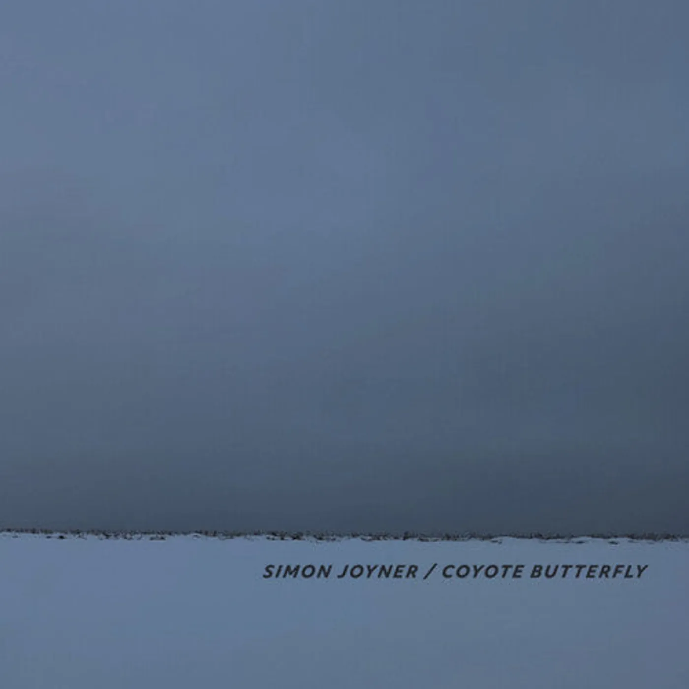 Simon Joyner LP Vinyl - Coyote Butterfly