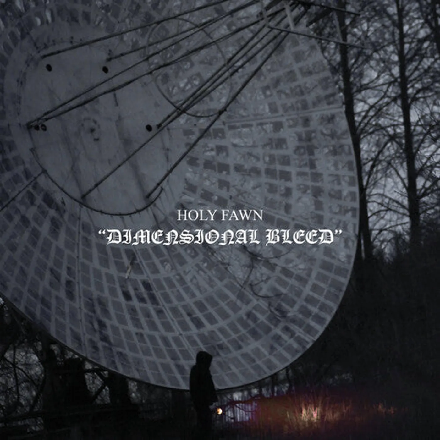 Holy Fawn LP Vinyl - Dimensional Bleed - Coke Bottle Clear (Coloured Vinyl)