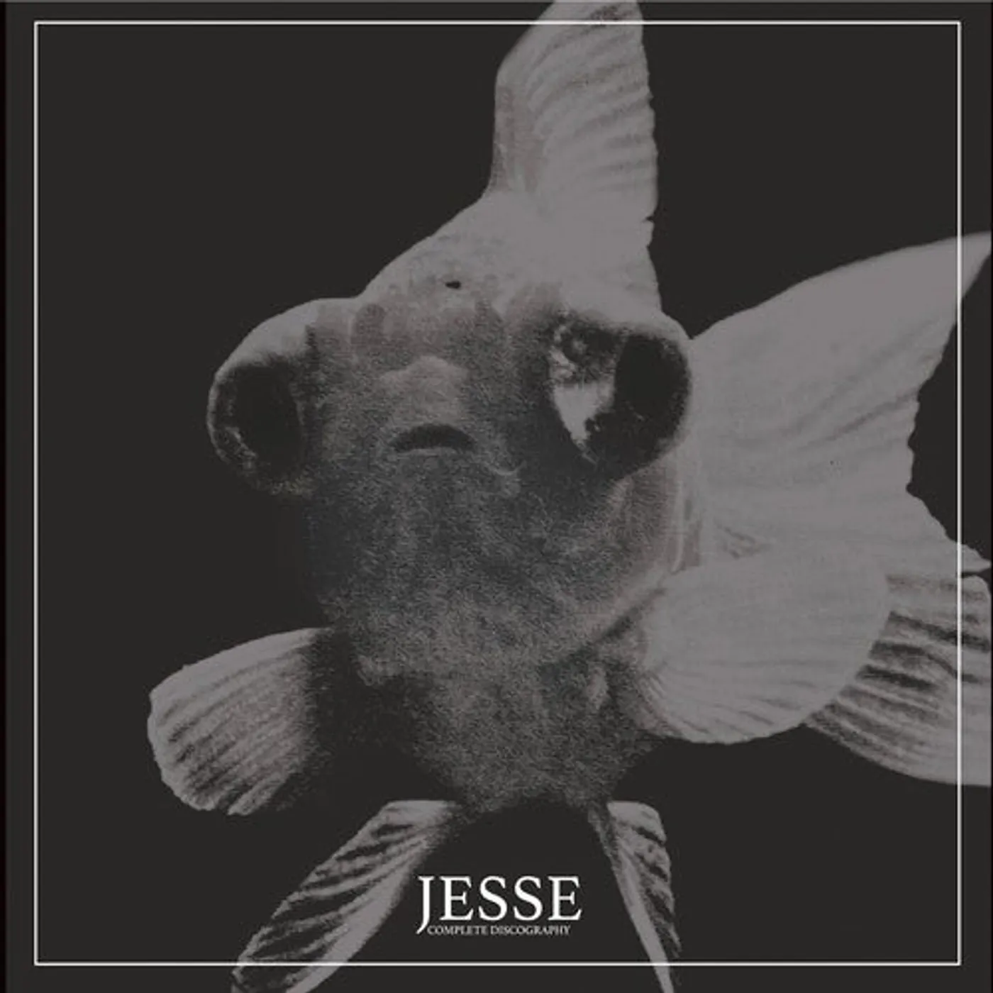 Jesse LP Vinyl - Complete Discography