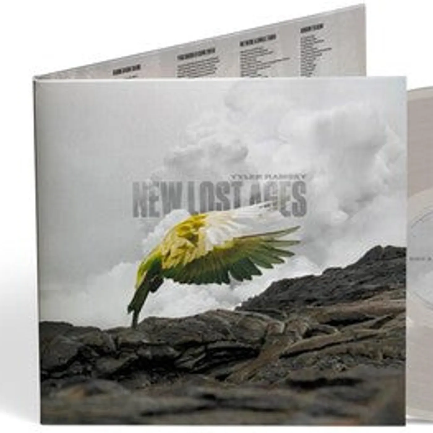 Tyler Ramsey LP Vinyl - New Lost Ages (Coloured Vinyl) (Gry)