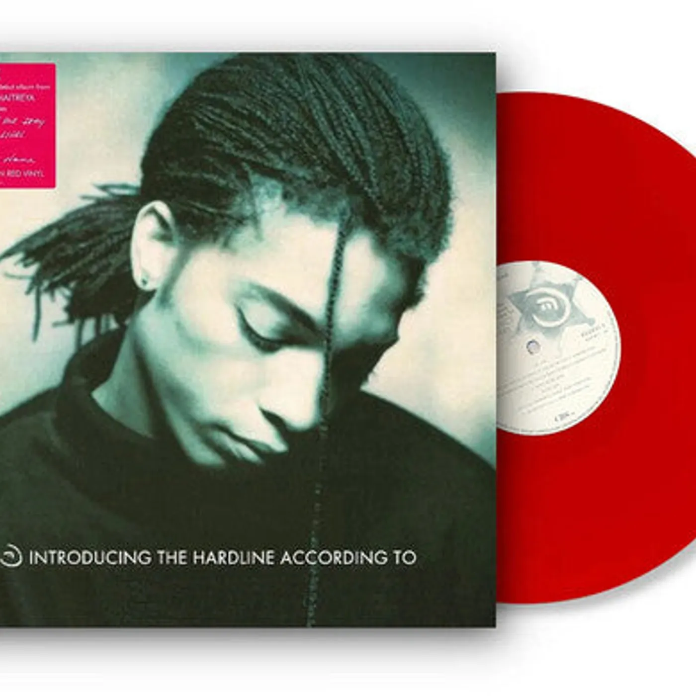 Karaoke - Terence Trent D'arby LP Vinyl - Introducing The Hardline According To Terence