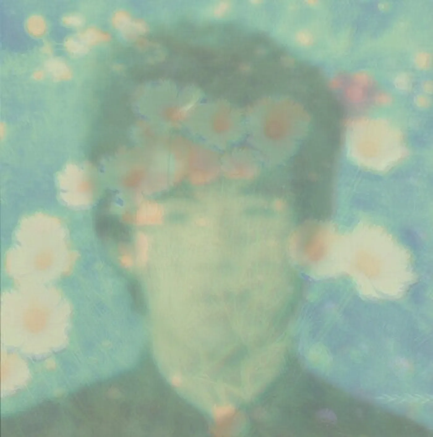Love Wonderland