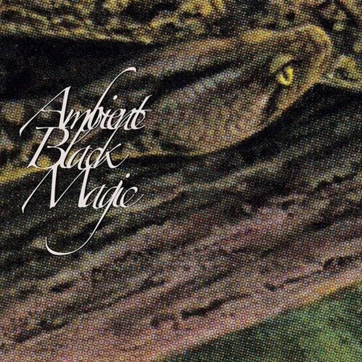 Rainforest Spiritual Enslavement LP Vinyl - Ambient Black Magic