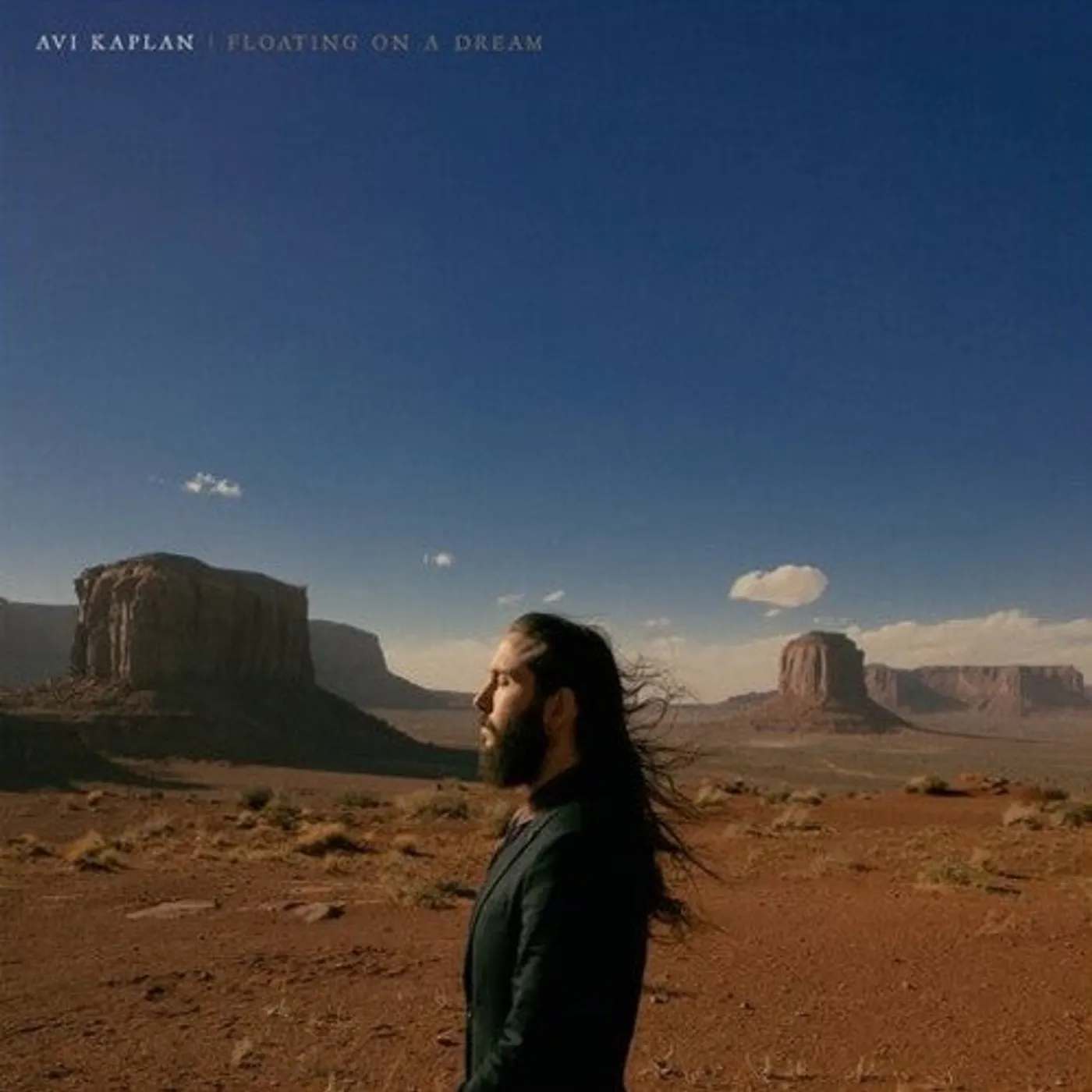 Avi Kaplan LP Vinyl - Floating On A Dream (Coloured Vinyl) (Ltd)