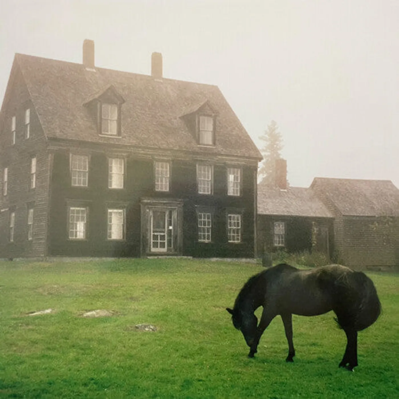 Lutalo LP Vinyl - Academy - Meadow Green (Coloured Vinyl)