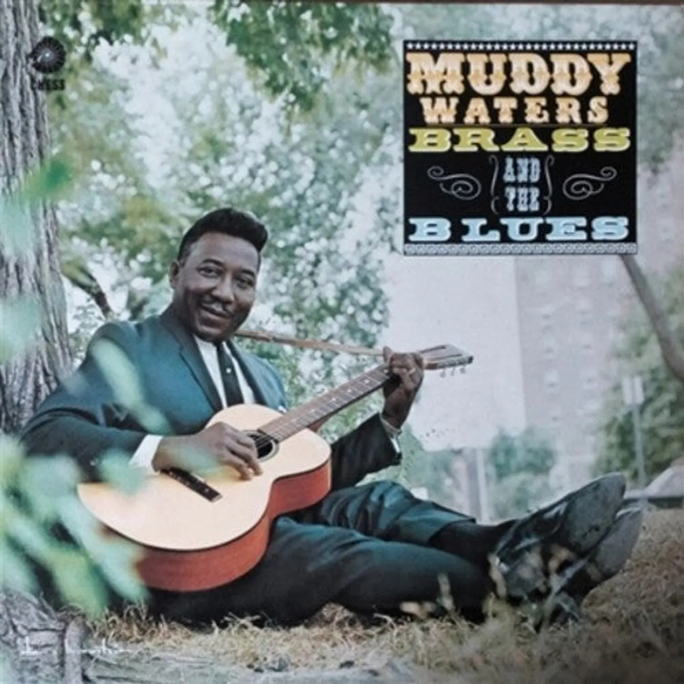 Muddy Waters LP Vinyl - Muddy Brass & The Blues