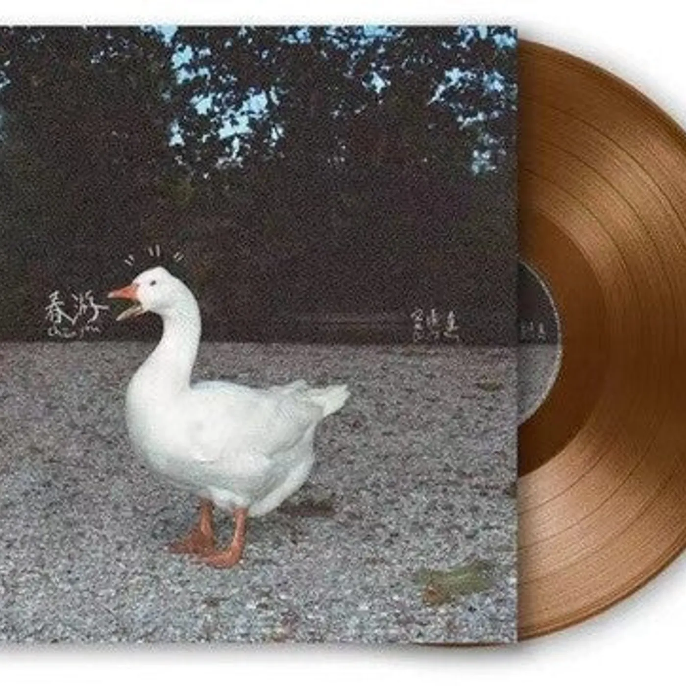 Leah Dou LP Vinyl - Spring Tour - Limited Edition (Brwn) (Cvnl) (Ltd)