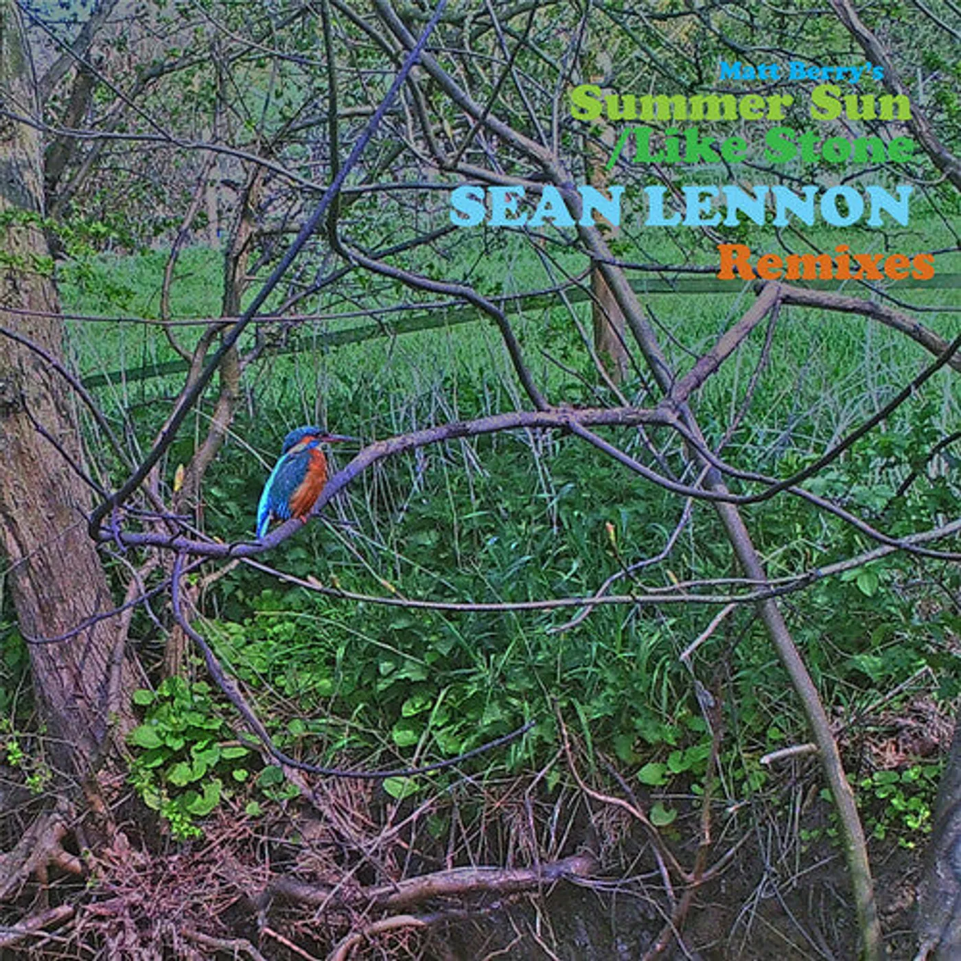 Matt Berry LP Vinyl - Summer Sun / Like Stone (Sean Ono Lennon Remixes)