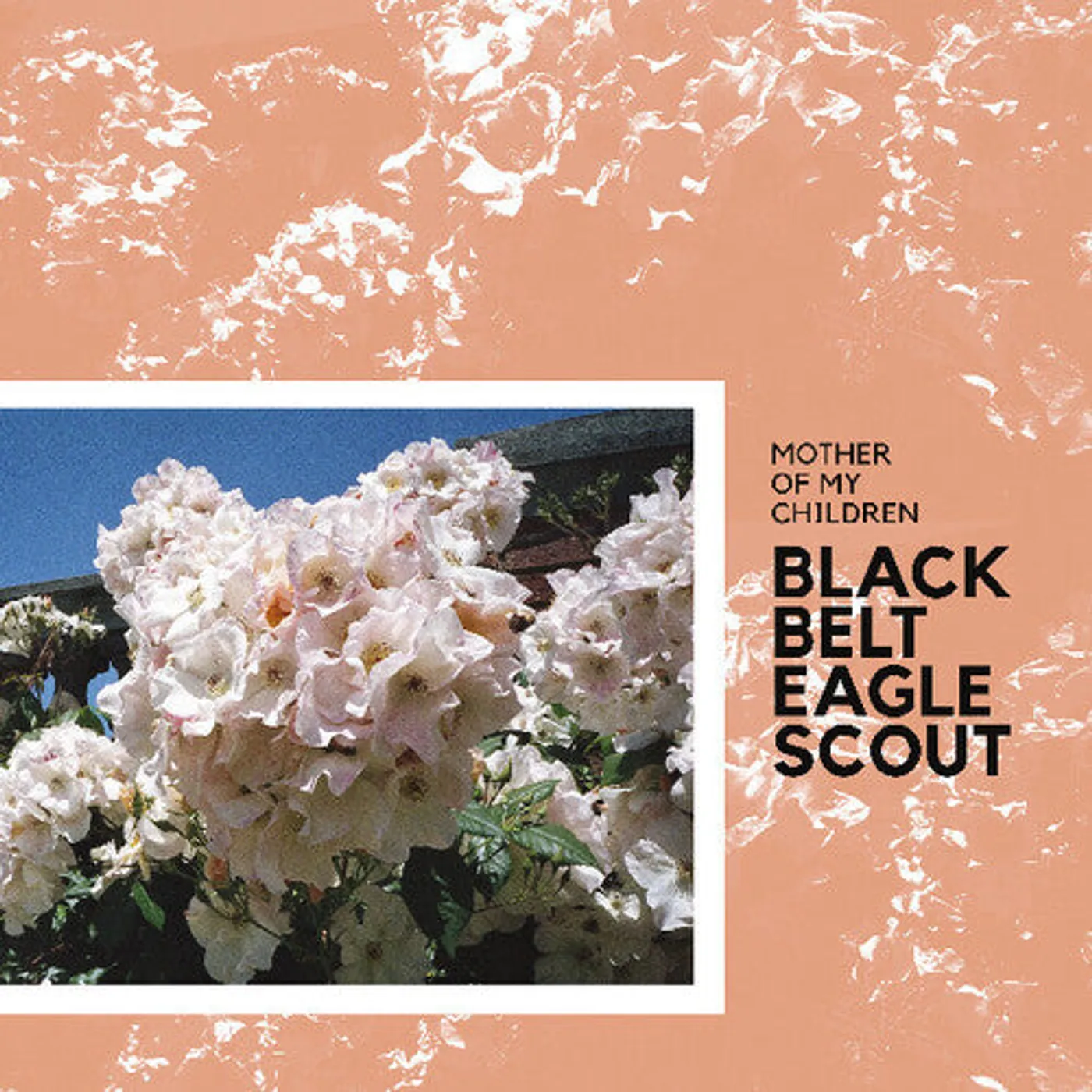 Black Belt Eagle Scout LP Vinyl - Mother Of My Children (Coloured Vinyl) (Spla)
