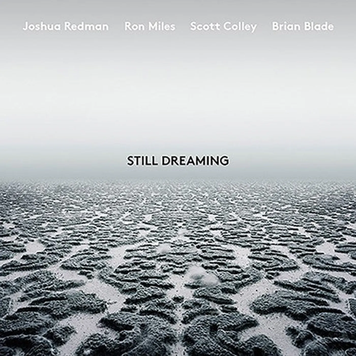Joshua Redman LP Vinyl - Still Dreaming