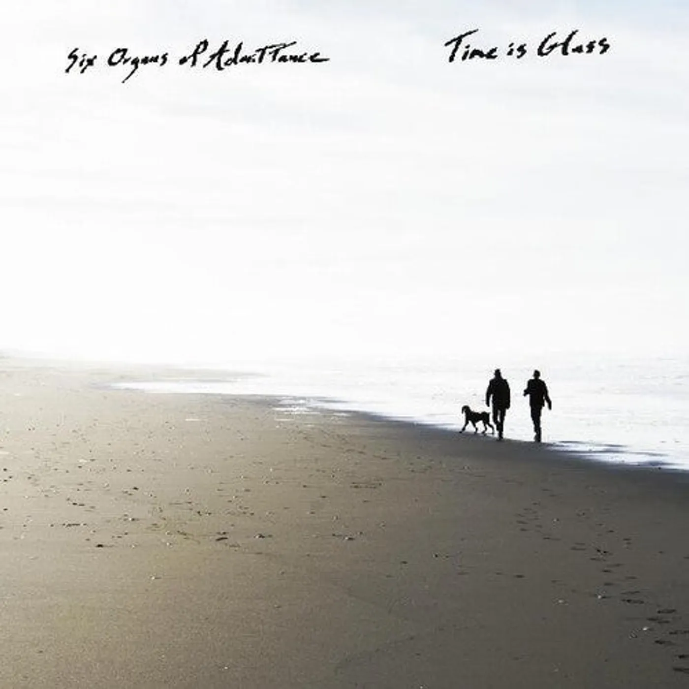 Six Organs Of Admittance LP Vinyl - Time Is Glass