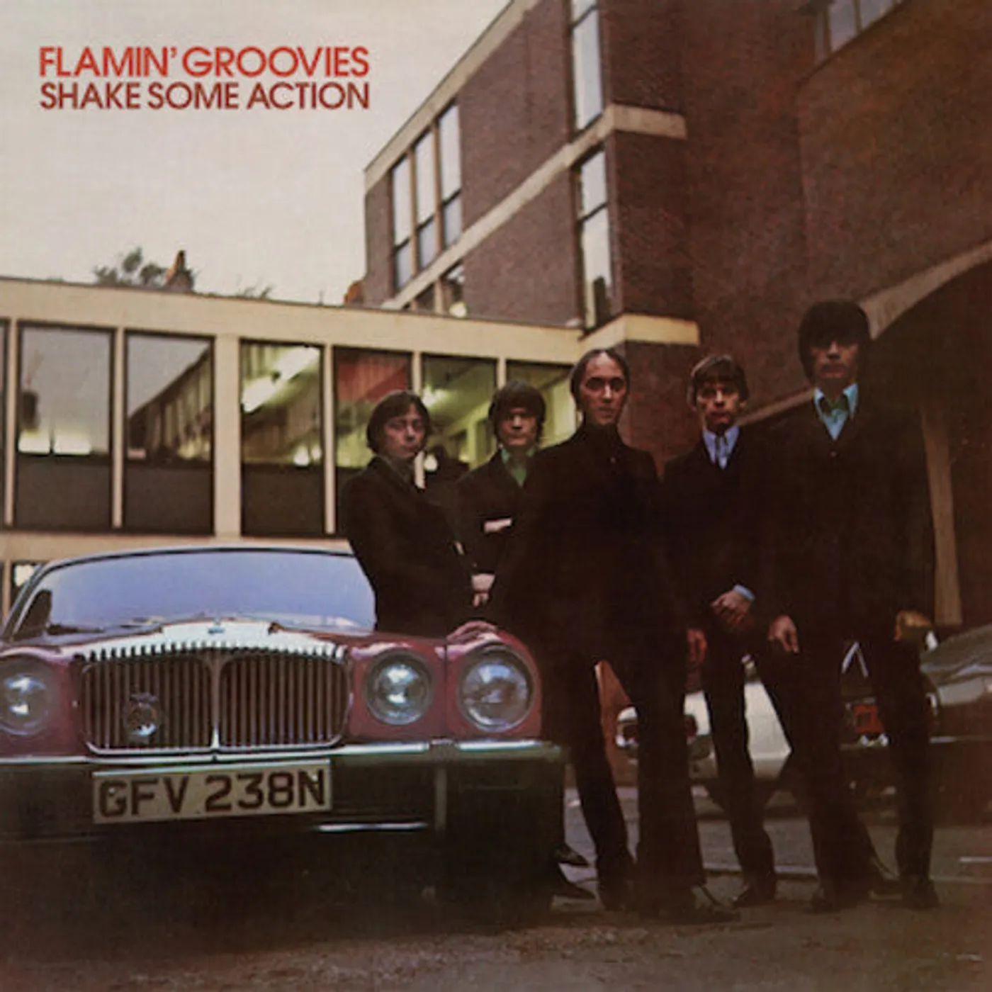 Flamin' Groovies LP Vinyl - Shake Some Action