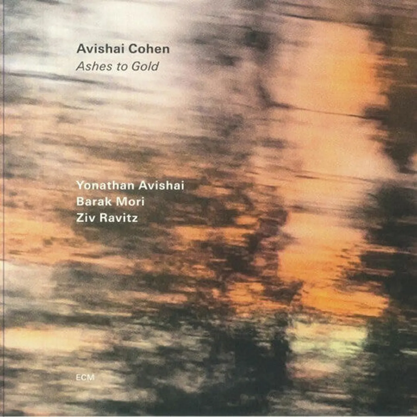 Avishai Cohen LP Vinyl - Ashes To Gold