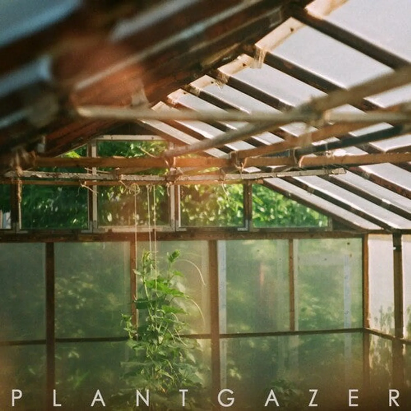 Show Me A Dinosaur LP Vinyl - Plantgazer