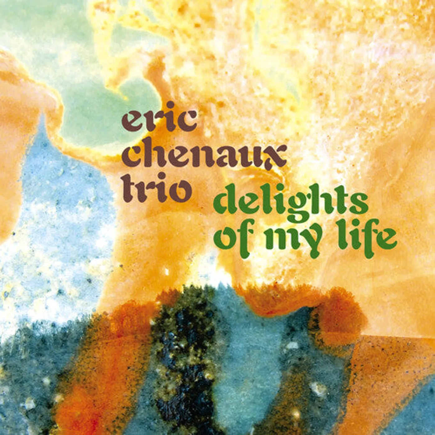 Eric Chenaux Trio LP Vinyl - Delights Of My Life (Blk)