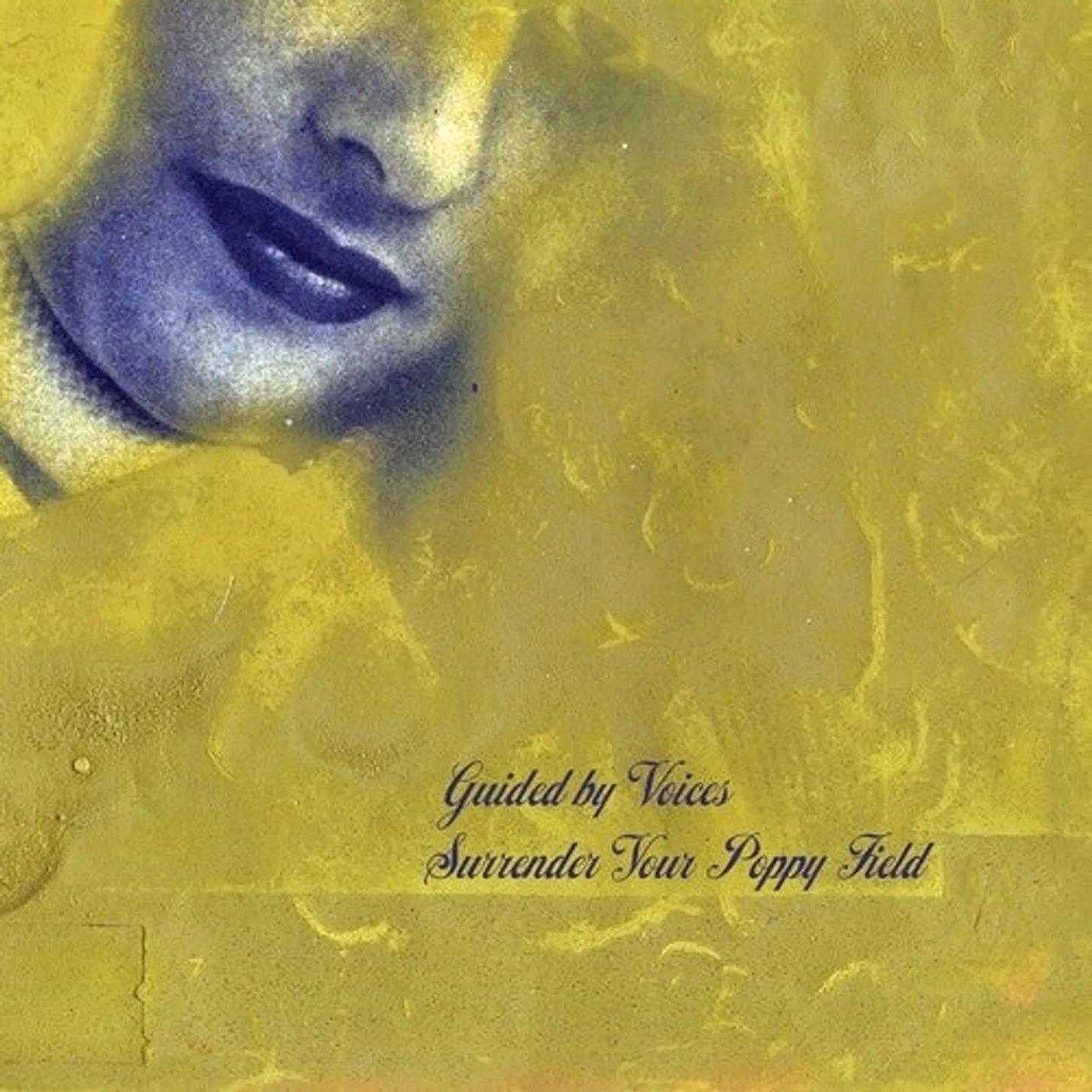 Guided By Voices LP Vinyl - Surrender Your Poppy Field