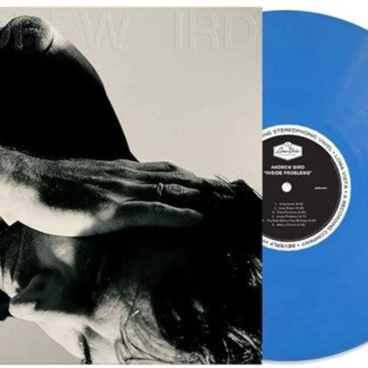 Andrew Bird LP Vinyl - Inside Problems (Blue) (Coloured Vinyl) (Ltd)