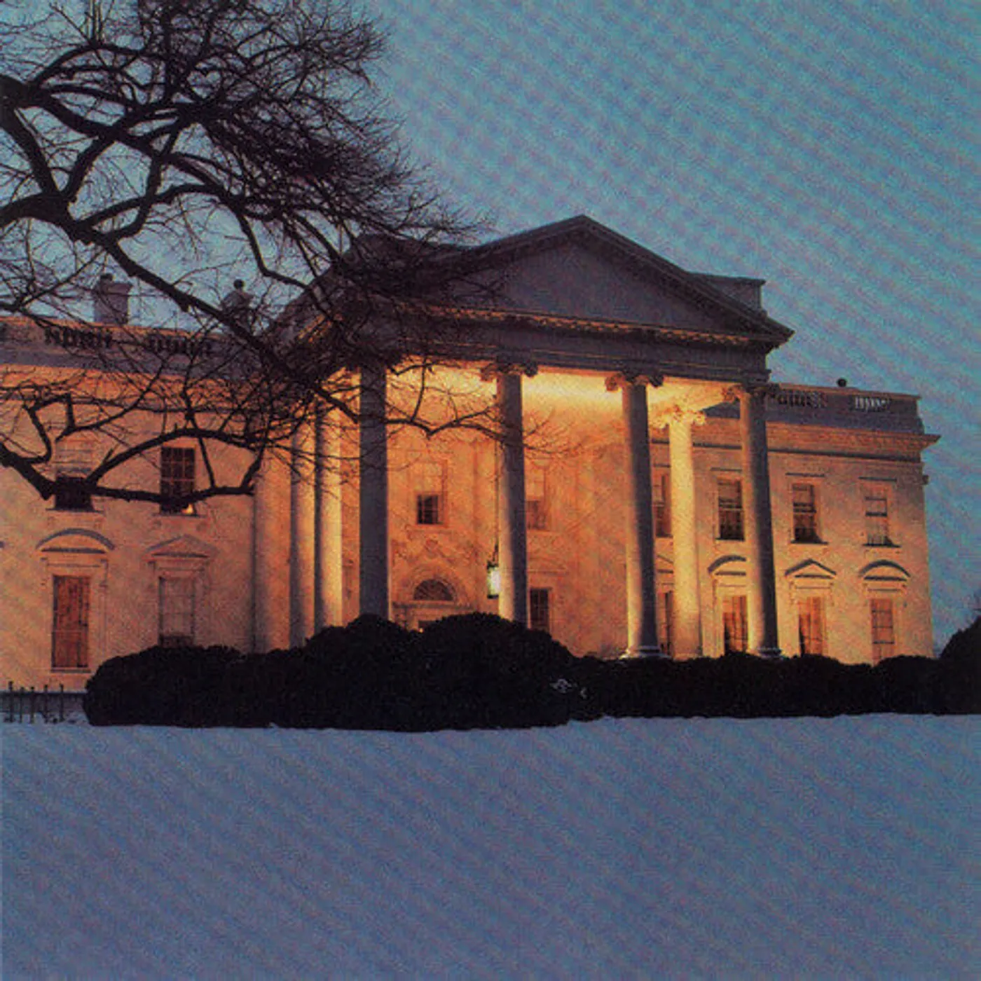 The Dead C LP Vinyl - White House