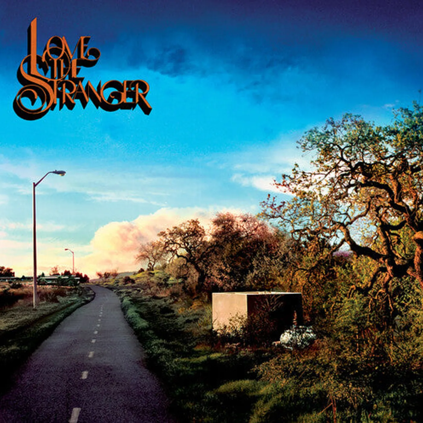 Friendship LP Vinyl - Love The Stranger (Dlcd)