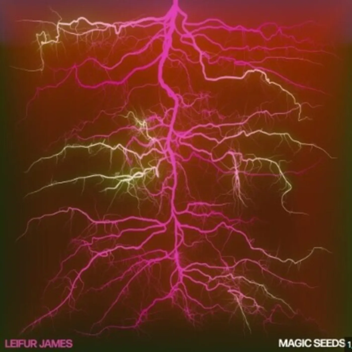 Leifur James LP Vinyl - Magic Seeds