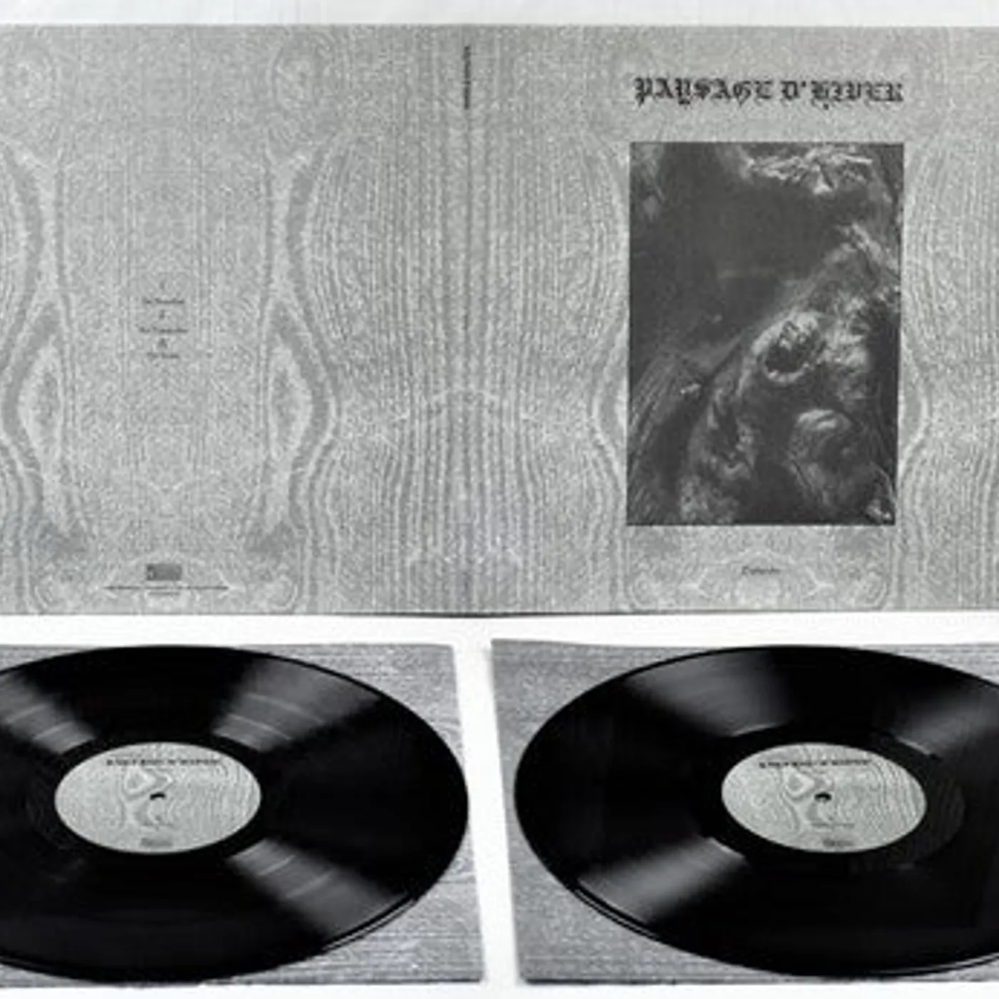 Paysage D'Hiver LP Vinyl - Steineiche (Blk) (Gate Fold) (Ogv)