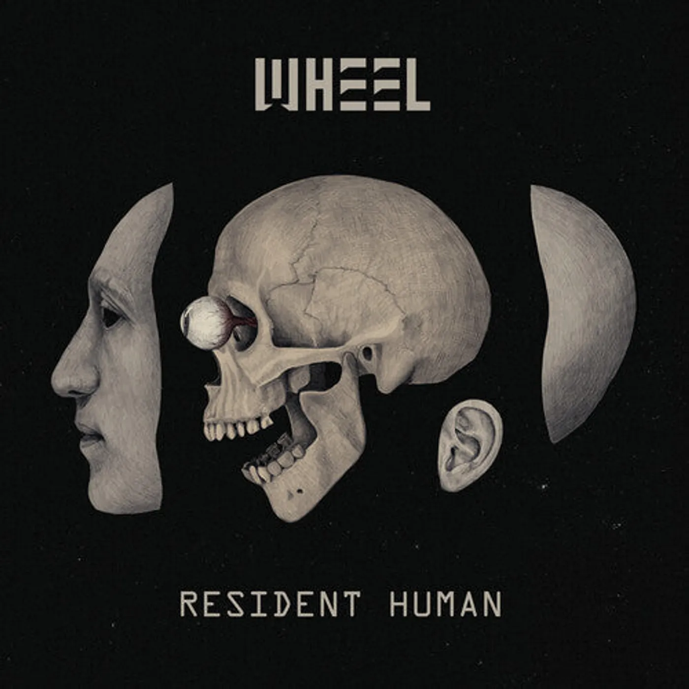 Wheel LP Vinyl - Resident Human