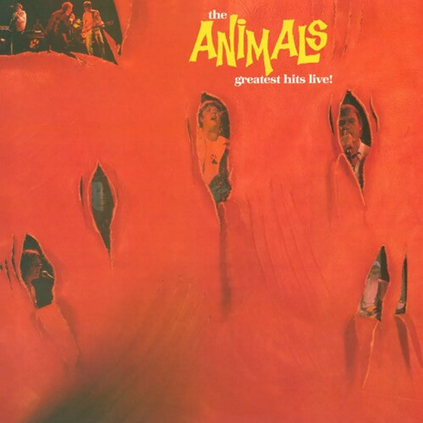 The Animals LP Vinyl - Greatest Hits Live