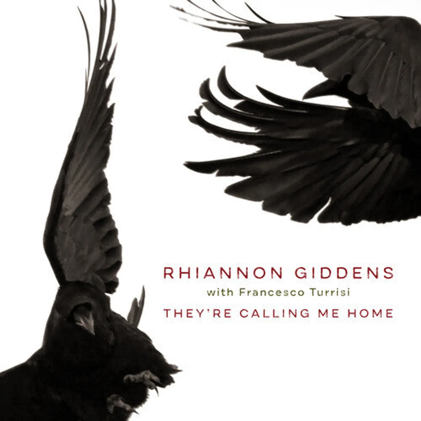 Rhiannon Giddens LP Vinyl - They'Re Calling Me Home